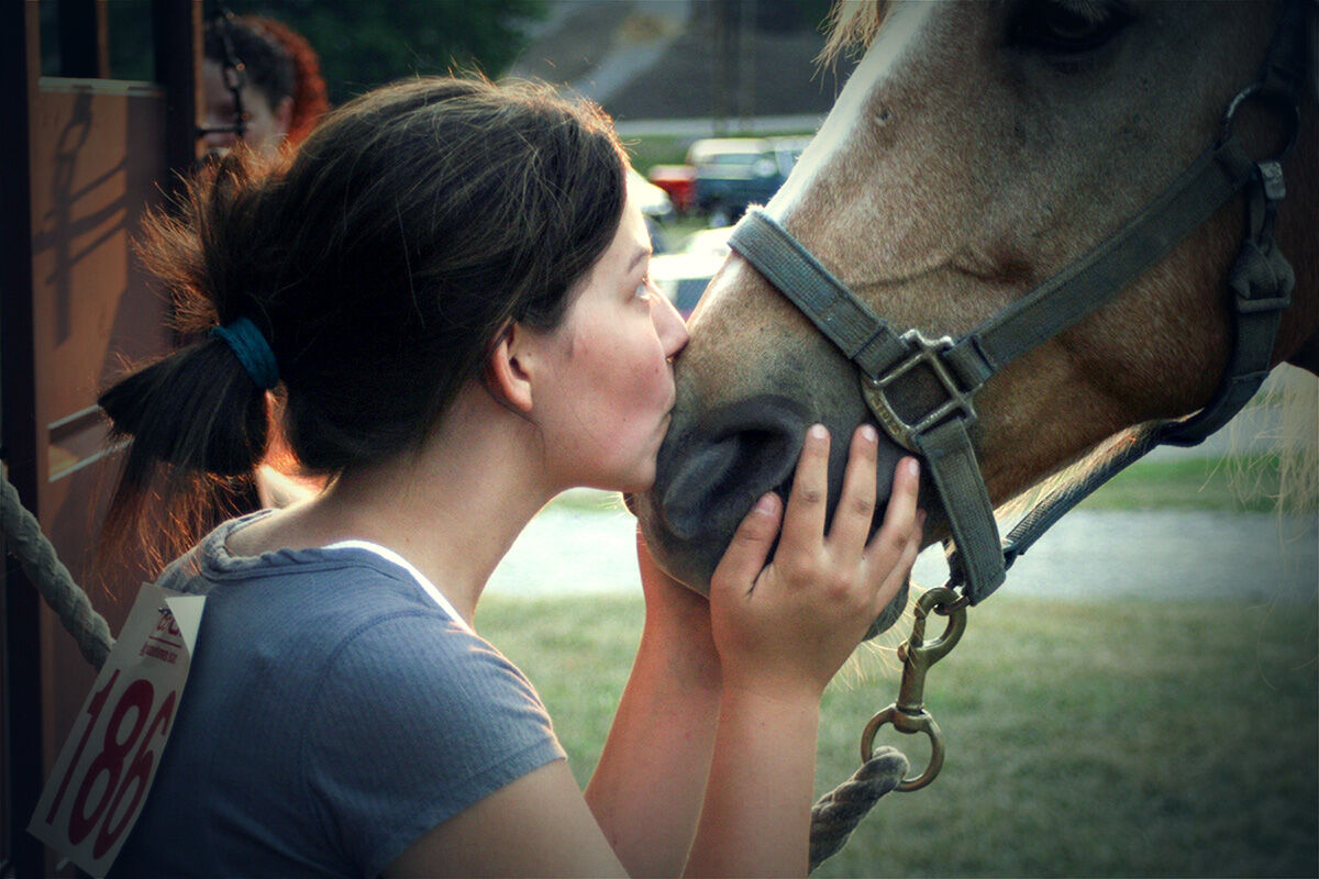 Horsing Around